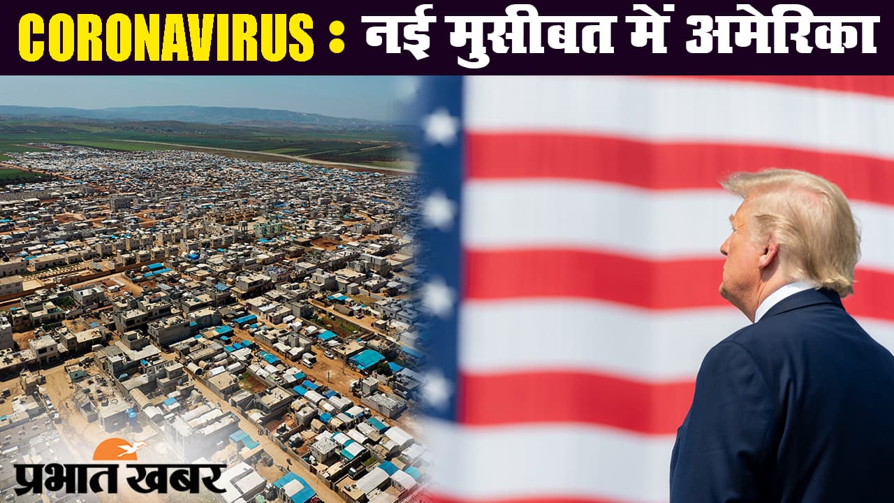 कोरोनावायरस : क्या न्यूयॉर्क में दो पालतू बिल्लियों में संक्रमण ने बढ़ाई चिंता?