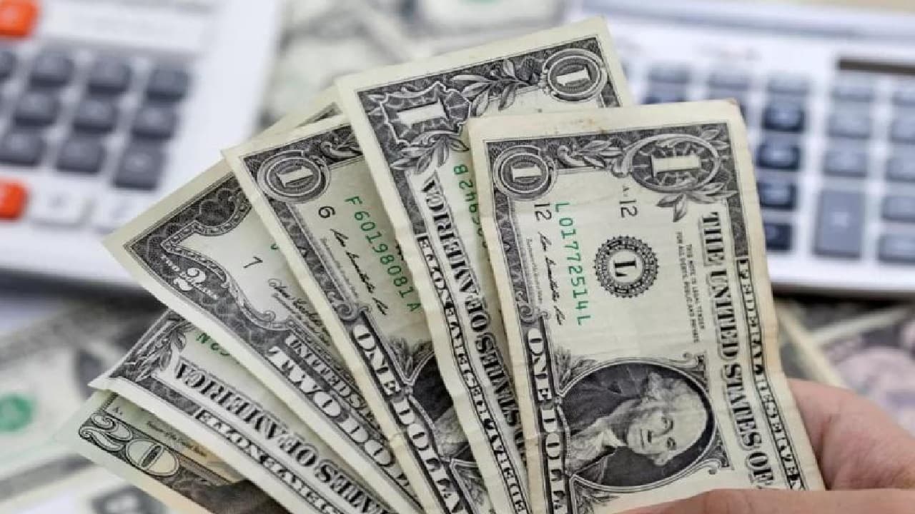 Foreign Exchange Reserves: ऑल टाइम हाई पर विदेशी मुद्रा भंडार, 692.29 अरब डॉलर हुआ रिजर्व