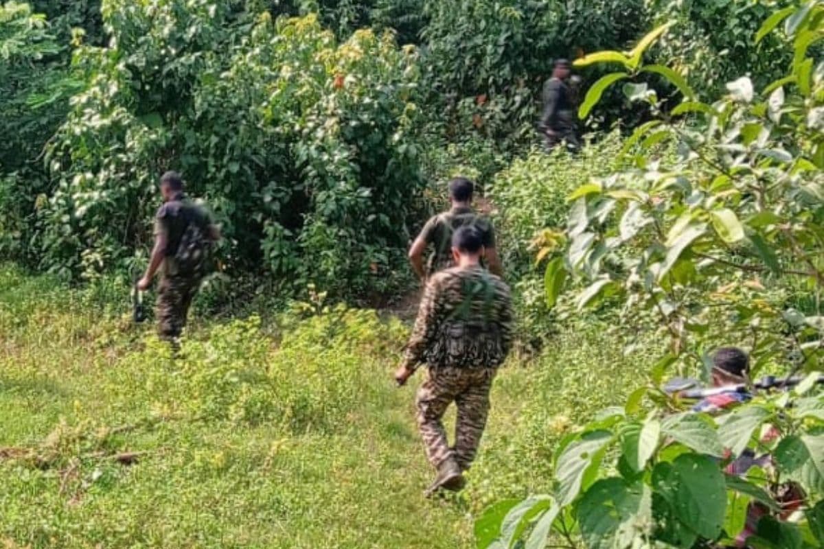 Saranda Encounter: झारखंड के सारंडा जंगल में सुरक्षाबलों की नक्सलियों से मुठभेड़, कोबरा जवान घायल, विस्फोटक बरामद