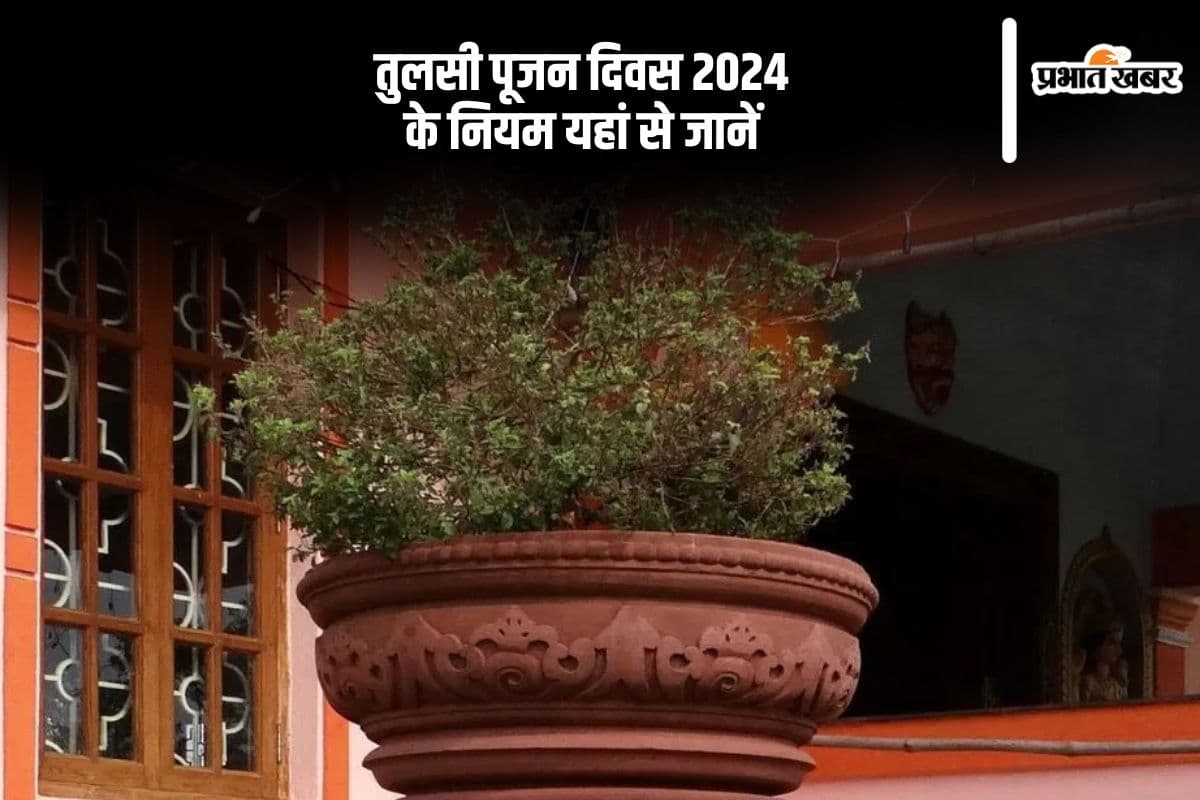 Tulsi Pujan Divas 2024: तुलसी पूजन दिवस मनाने से पहले यहां से जानें नियम