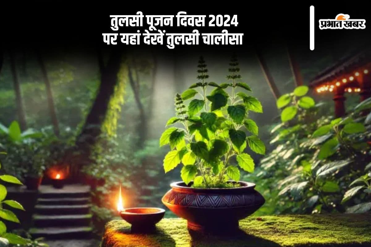 Tulsi Pujan Diwas 2024 Chalisa: आज तुलसी पूजन दिवस पर चालीसा का करें पाठ