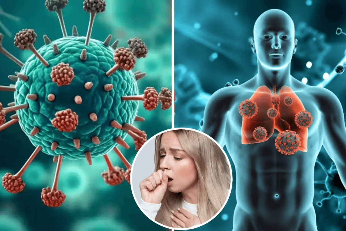 HMPV Virus: भारत में तेजी से बढ़ रहा एचएमपीवी वायरस का खतरा, मिल चुके इतने मरीज, जानें बचाव के तरीकें