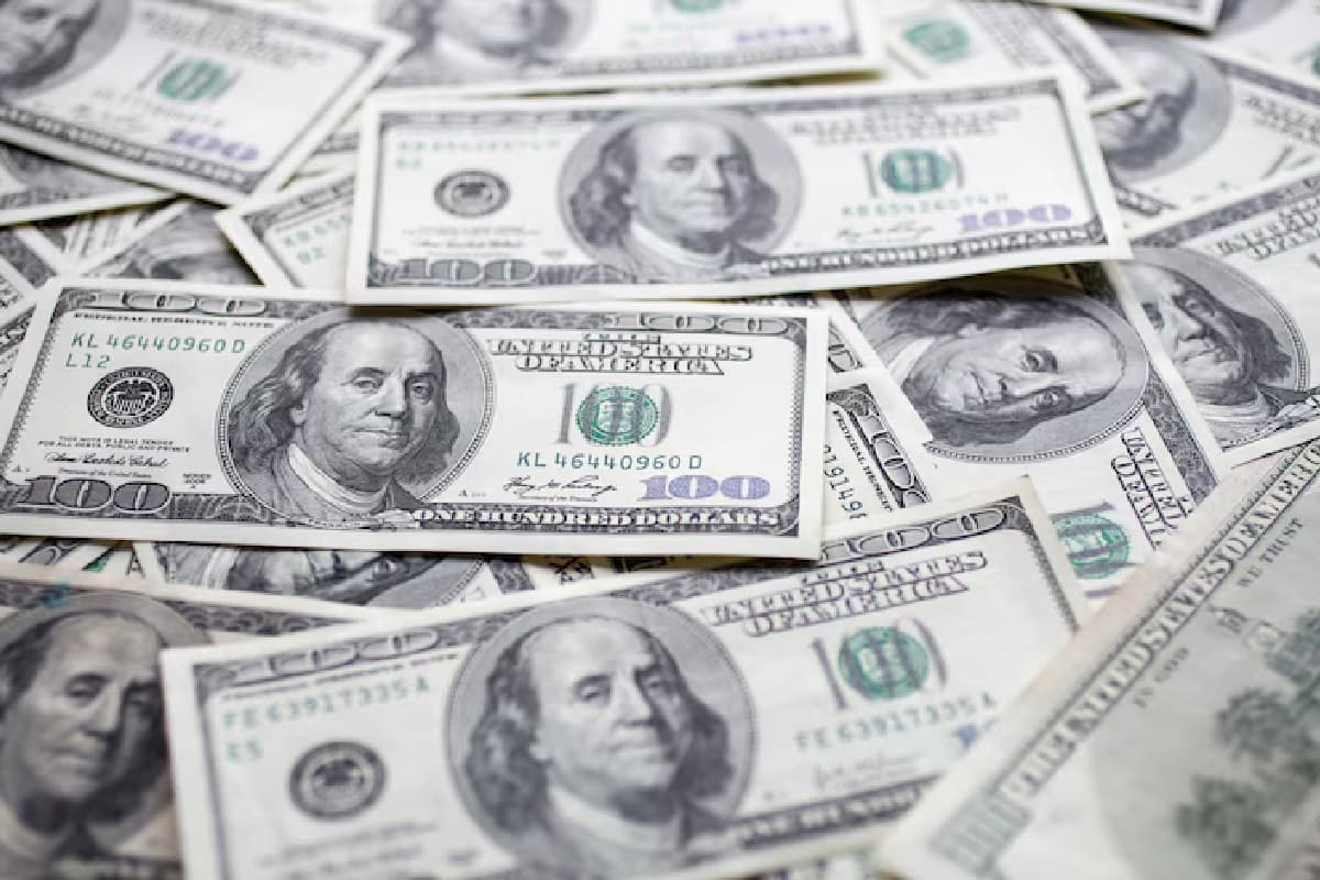 पाकिस्तान छोड़ रहा था ड्रोन, भारत में बरसा डॉलर! 4.5 अरब डॉलर बढ़ा विदेशी भंडार