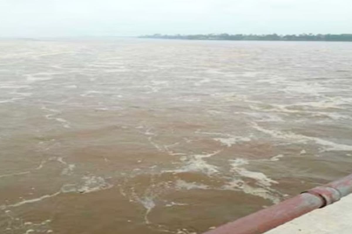 Bihar Flood Alert: सोन नदी में अचानक आया उफान, इस जिले में खतरे के निशान के पास आ रहा जलस्तर, हाई अलर्ट जारी