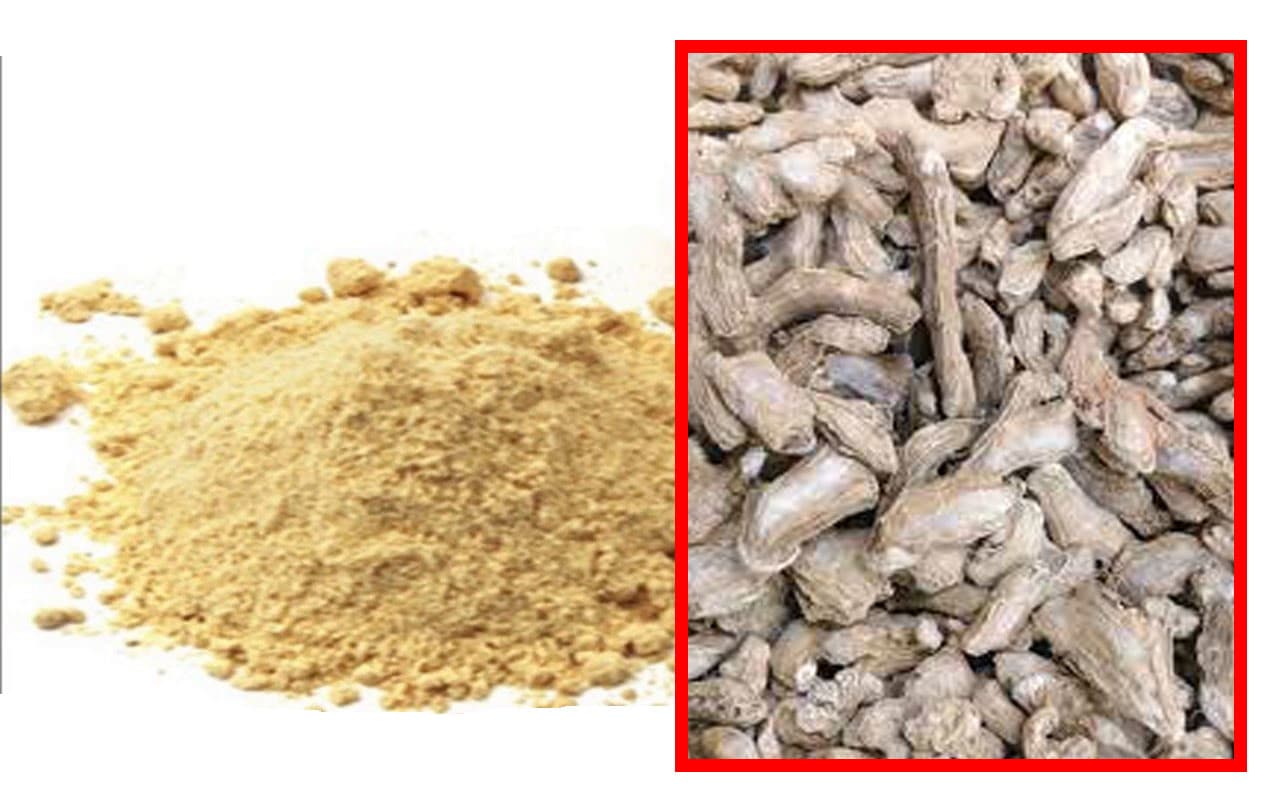 Health Tips: इम्यूनिटी मजबूत करनी है, तो करें सोंठ का सेवन, बारिश के मौसम में भी बने रहेंगे हेल्दी