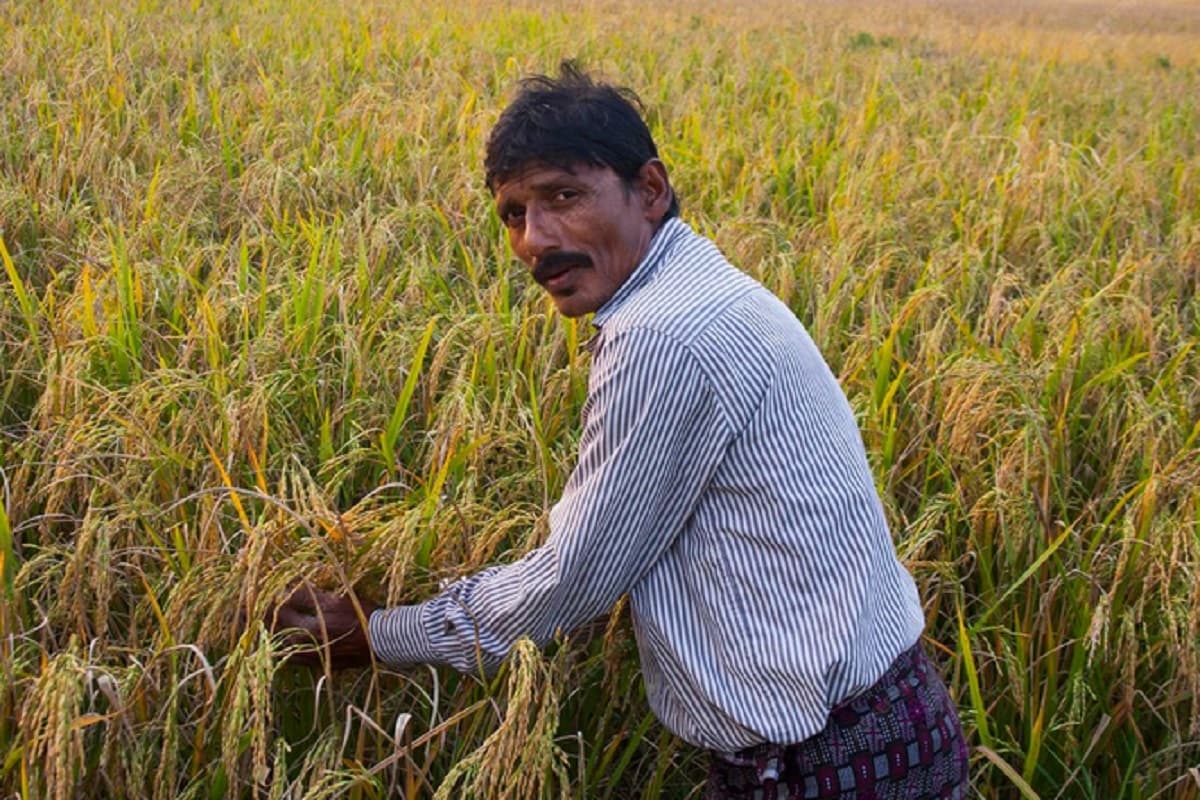 30 लाख किसानों के लिए जारी हो गया फसल बीमा का पैसा, चेक करें अकाउंट