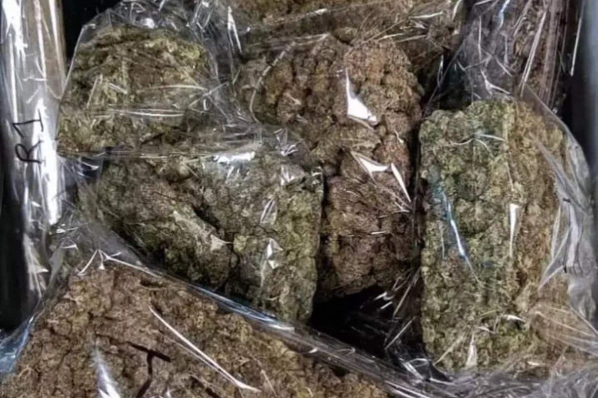 बिहार में चार क्विंटल गांजा के साथ दो तस्कर गिरफ्तार, कंटेनर से जखीरा बरामद