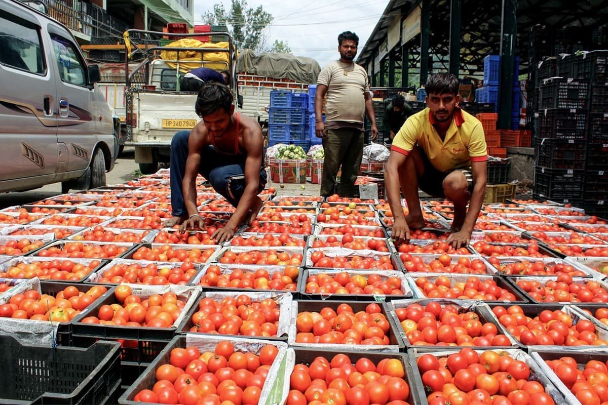 Wholesale Inflation: खाने-पीने की चीजों के बढ़ गए दाम, थोक महंगाई दर हुई मजबूत