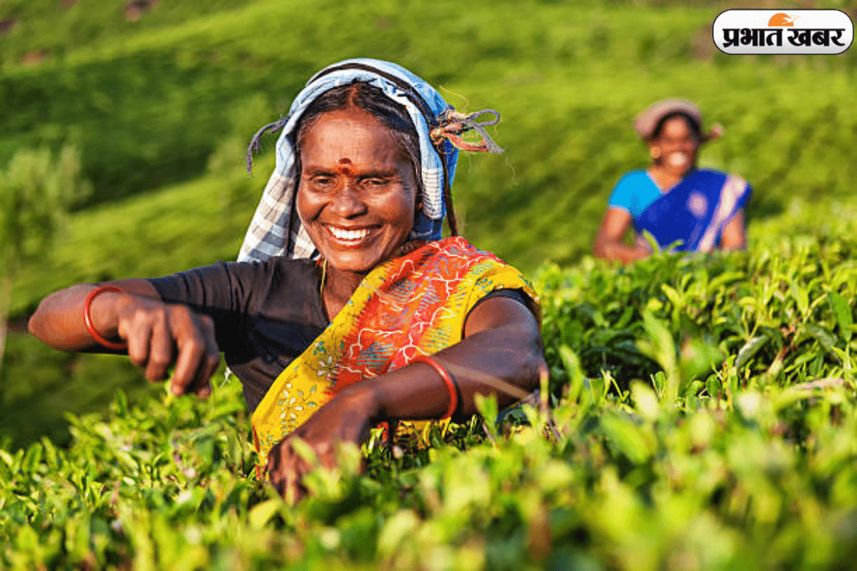 PM Kisan Yojana: किसानों के लिए बड़ी खुशखबरी, 6 नहीं अब मिलेगे 9 हजार