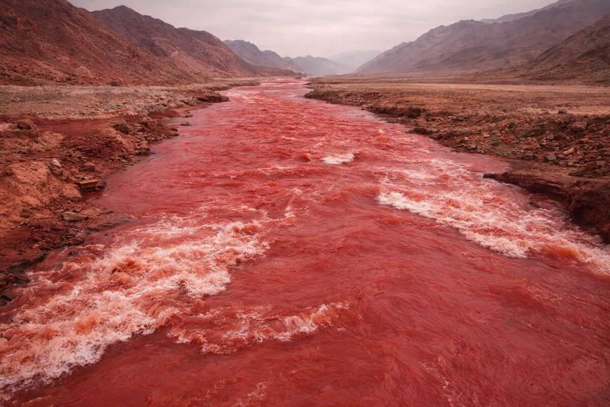 मुस्लिम देश में कुदरत का कहर! भारी बारिश के बाद समंदर हुआ लाल, देखें 5 तस्वीरें