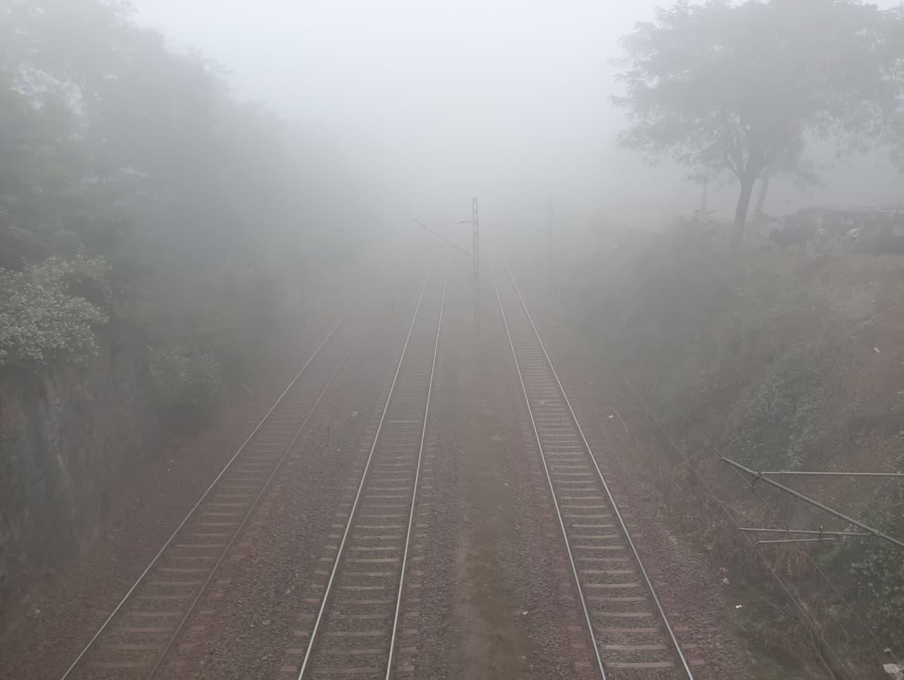 Chaibasa News : घने कोहरे ने रफ्तार पर लगायी ब्रेक, 30 किलोमीटर प्रति घंटा चल रहीं ट्रेनें