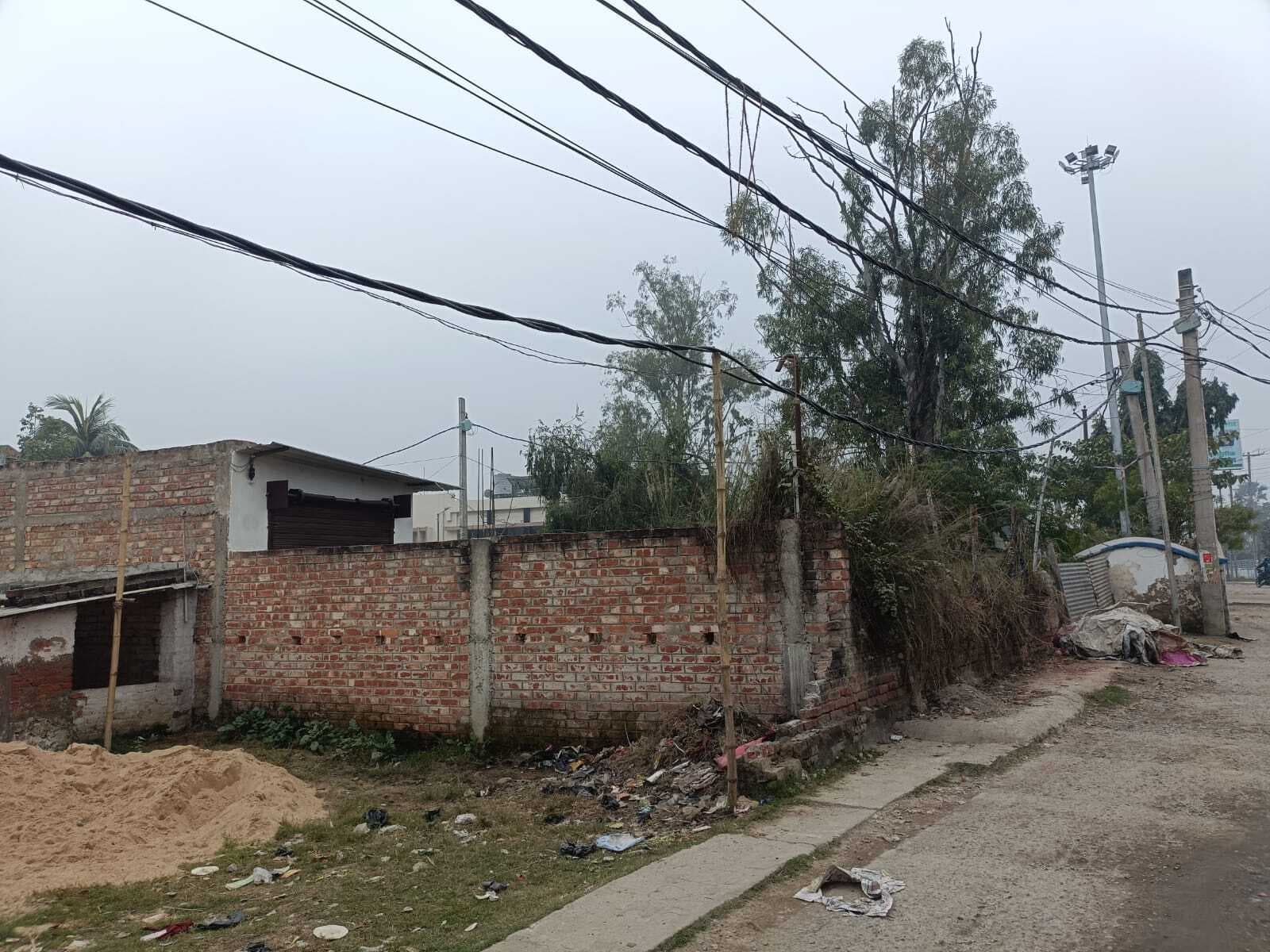 Madhubani News : बुद्धनगर कॉलोनी में बांस बल्ले के सहारे हो रही बिजली की आपूर्ति