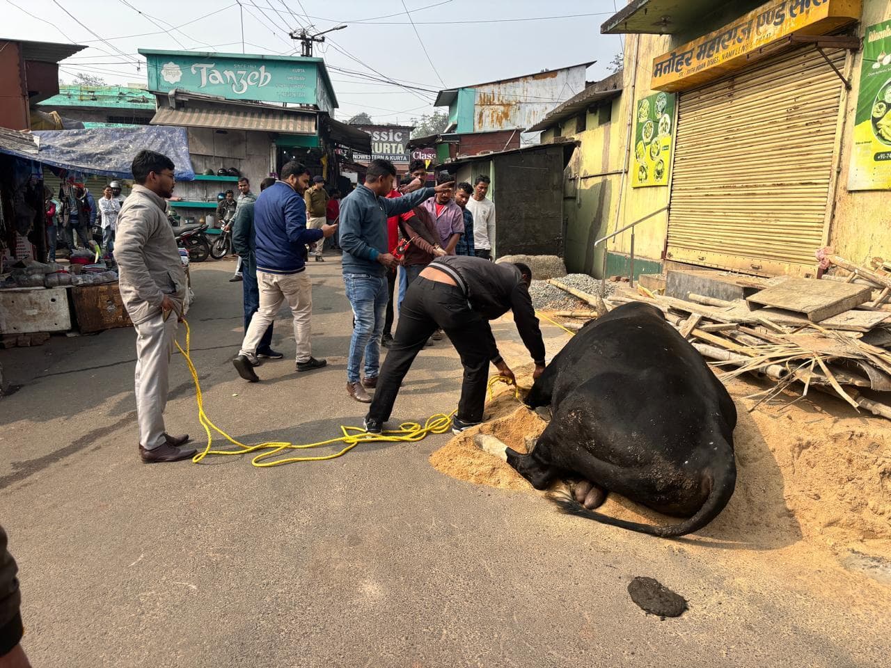 Jamshedpur News : बिष्टुपुर में जेएनएसी का ऑपरेशन सांड़ : घंटों मशक्कत के बाद चार सांड़ पकड़े गये