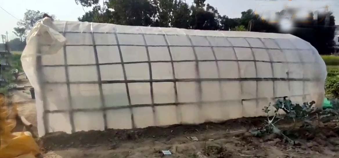 ठंड में किसान जुगाड़ उपाय से चार से पांच दिन में उगा सकते है सब्जी के पौधे