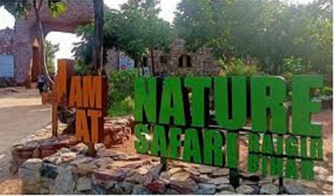 Bihar Tourism: वाल्मीकिनगर टाइगर रिजर्व की बुकिंग पांच तक फुल, नेचर सफारी व ग्लास ब्रिज एक को बंद