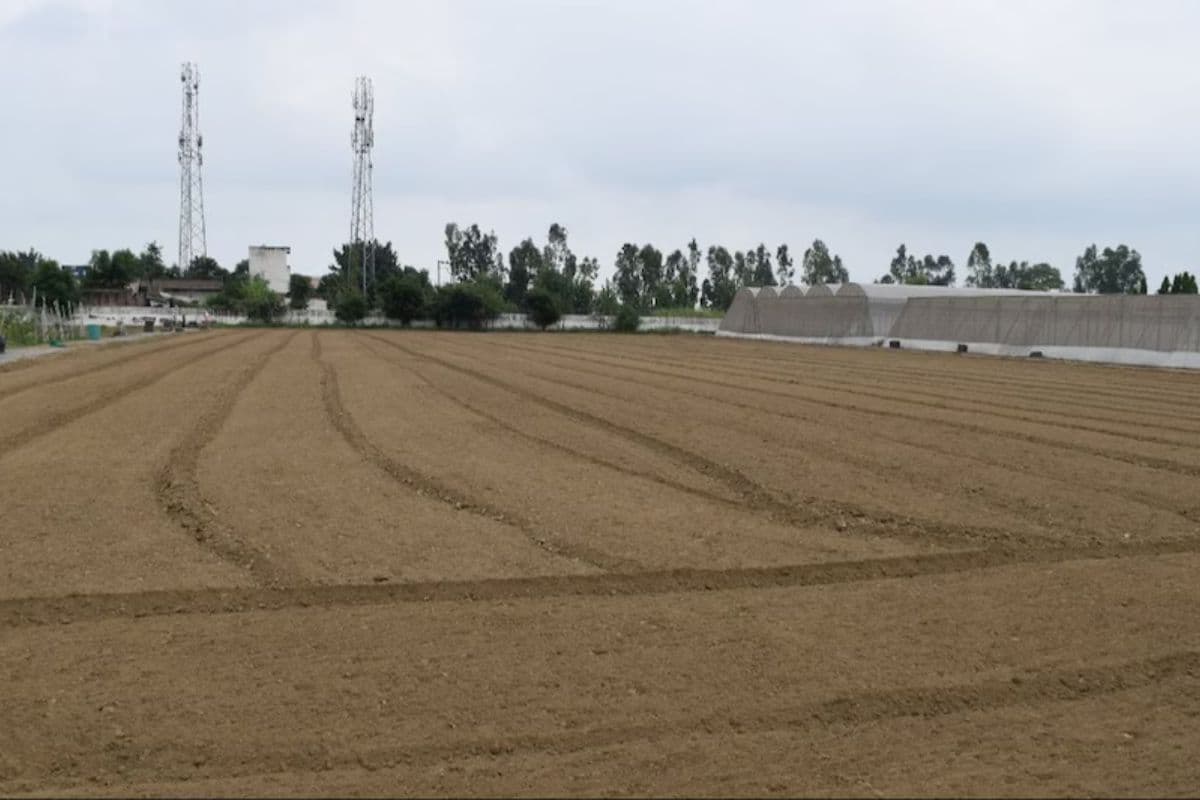 Bihar Bhumi: बिहार की जिला परिषदें जमीन के दम पर आर्थिक रूप से होगी मजबूत, जानिये क्या है खास तैयारी