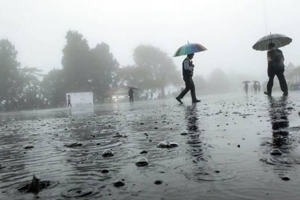 IMD Weather Alert: शीतलहर का असर तेज, उत्तर भारत में कोहरा, पहाड़ी राज्यों में बर्फबारी का अलर्ट