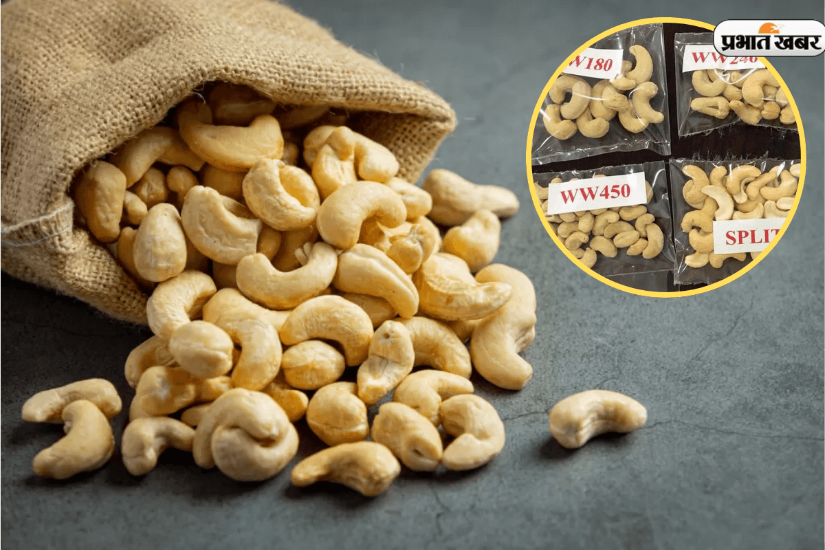 बस एक कोड में छुपा है काजू का असली दाम, जानिए वो राज जो हर दुकानदार छुपाता हैं