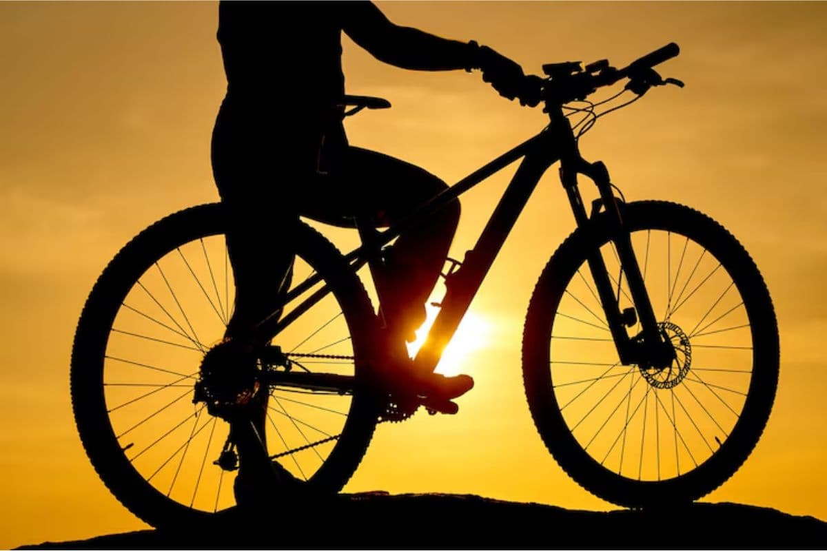 फिटनेस और एडवेंचर के लिए बेस्ट गियर साइकिल, खरीदने से पहले जानें ये जरूरी बातें