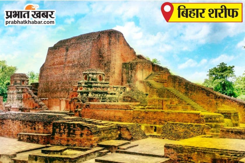 पर्यटकों को मिलेगा राजगीर जू सफारी में विदेशी तीतर