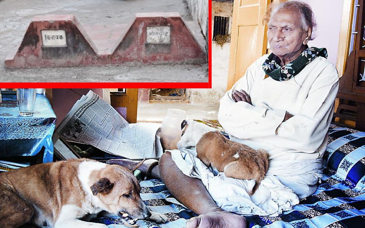 Exclusive: बिहार का एक शहर ऐसा, जहां गायों और कुत्तों की बनी समाधियां