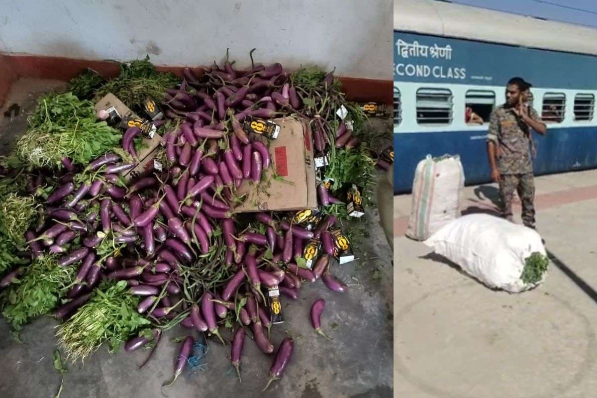 Bihar News: उत्तर प्रदेश से बिहार आ रही ट्रेन में इस तरह लाई जा रही थी अंग्रेजी शराब की बोतलें, अलर्ट मोड में पुलिस