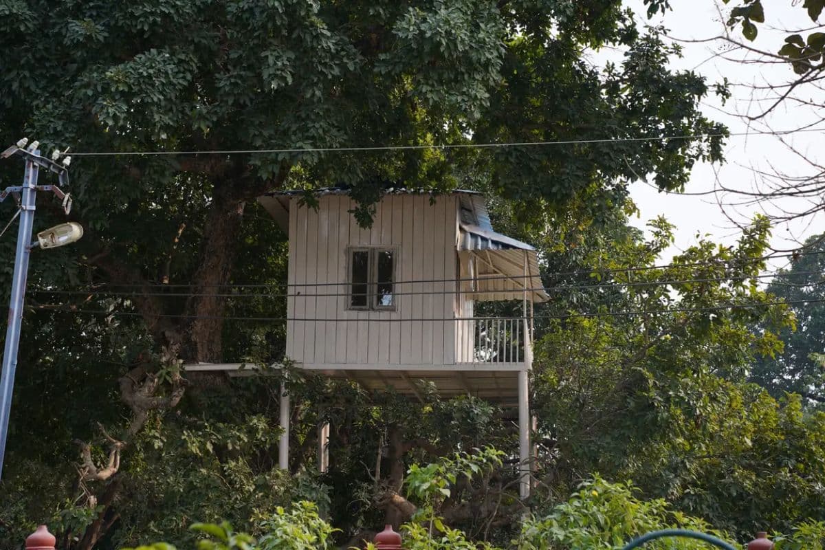 नए साल पर घूमने का है प्लान तो चले आइए वाल्मीकि टाइगर रिजर्व, जानिए क्यों खास है यह जगह