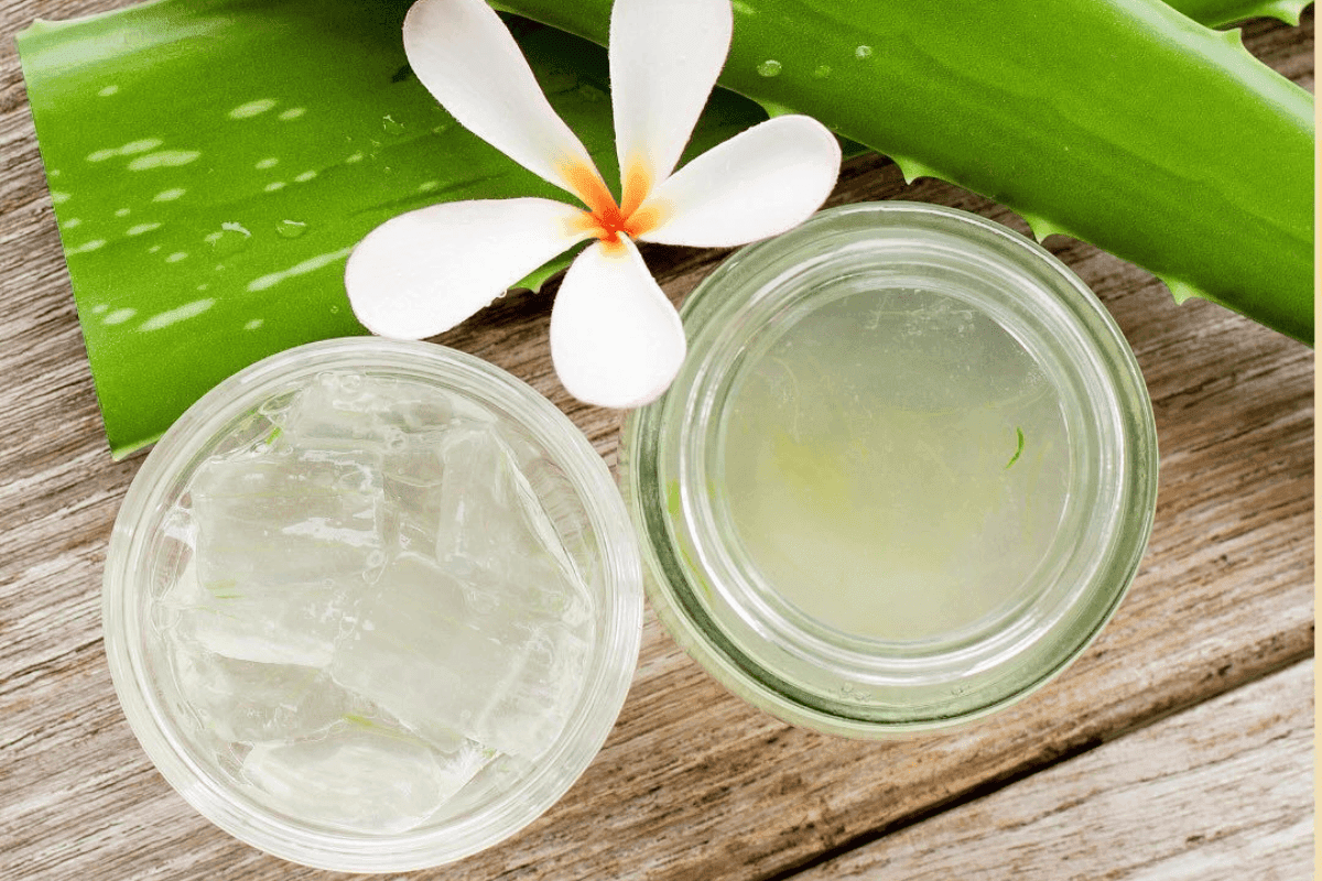 Benefits of Aloe vera Gel: हेल्दी स्किन के लिए जरूरी है एलोवेरा जेल