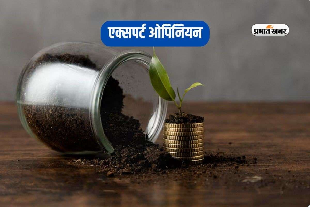 Equity Mutual Funds: इक्विटी म्यूचुअल फंड से क्यों तौबा कर रहे हैं लोग? एक्सपर्ट से जानें असली कारण