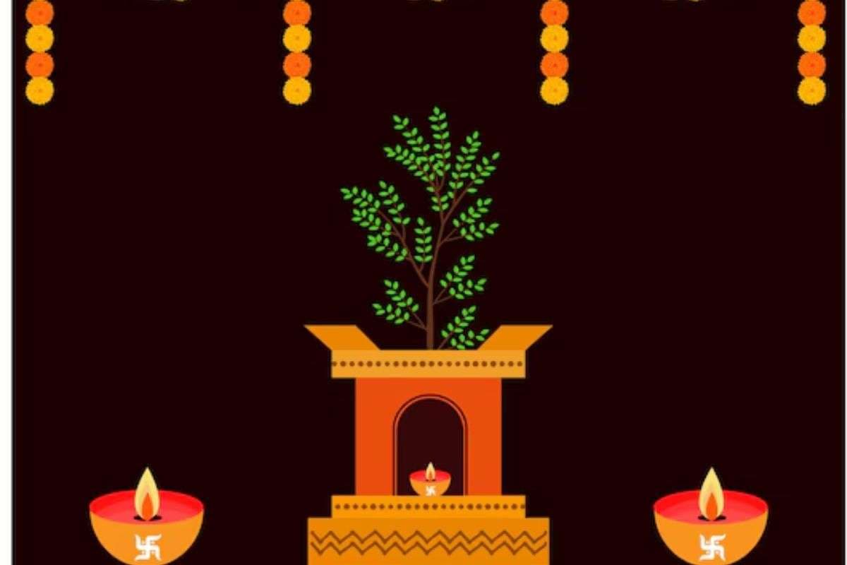 Tulsi Vivah Puja Samagri List: तुलसी विवाह में इन पूजन सामग्रियों की होगी जरूरत, देखें लिस्ट