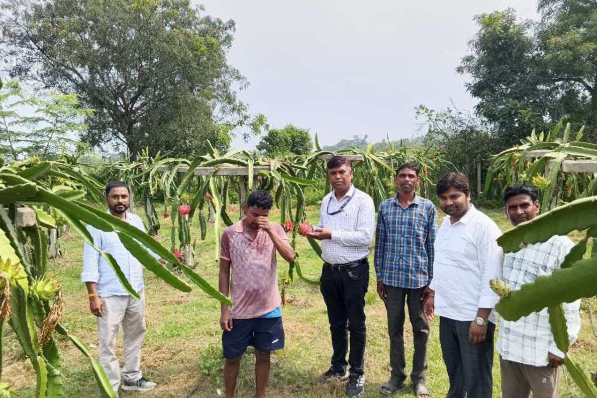 लीक से हटकर की खेती, झारखंड के किसान की चमक गयी किस्मत, कमाए 1.5 लाख रुपए, कम लागत में अच्छा मुनाफा