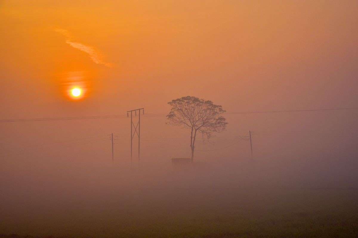 Aaj Ka Mausam: कोहरे की चादर में लिपटे रहेंगे ये राज्य, सर्द हवा से बढ़ेगी सिरहन, मौसम फिर लेगा करवट