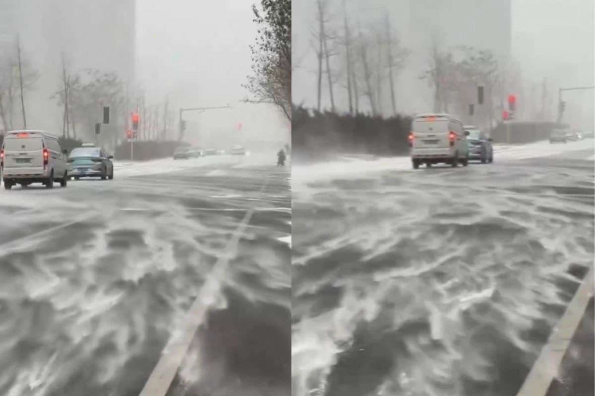 Viral Video: दिसंबर की बर्फबारी ने चीन को बनाया स्नो-ग्लोब! वीडियो देखकर छूट जाएगी कंपकंपी, बच्चों को मिली अनोखी ‘स्नो वेकेशन’