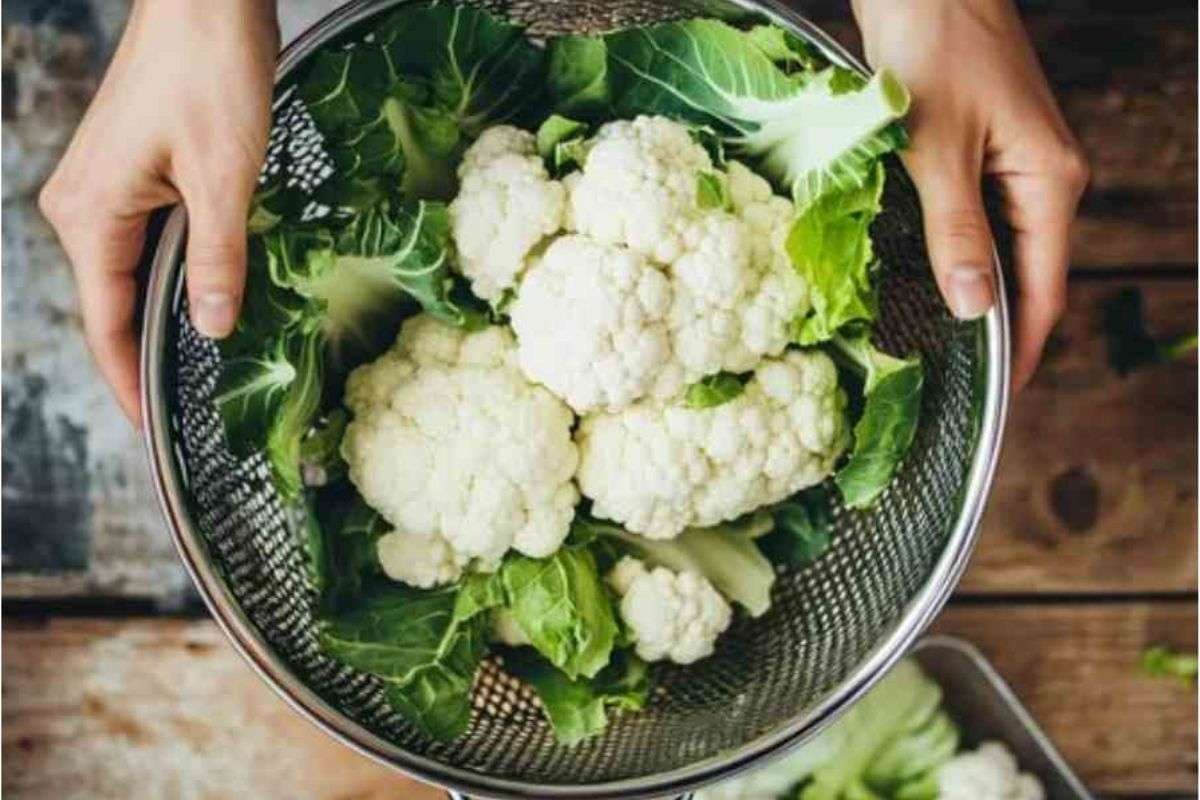 How to Store Cauliflower: क्या आप फूलगोभी गलत तरीके से कर रहे हैं स्टोर,जानिए इसे फ्रेश रखने का सही तरीका