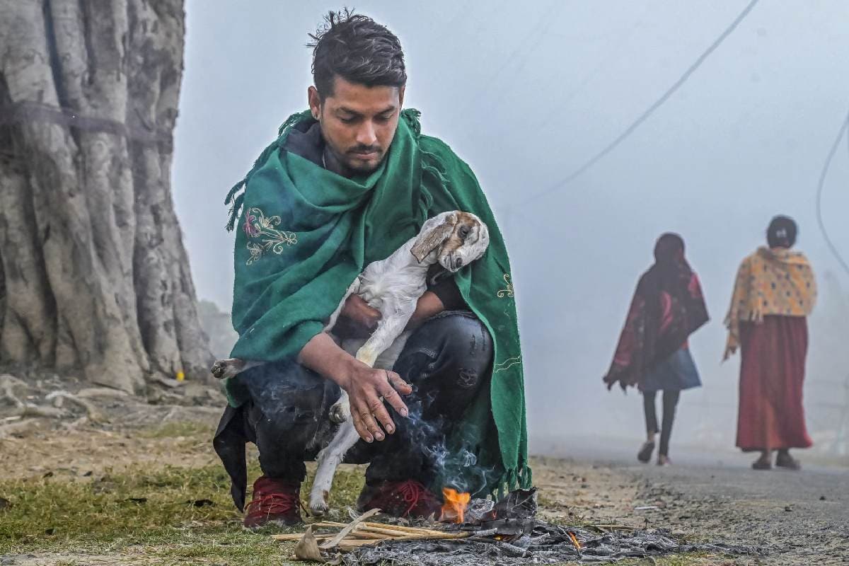 Cold Wave Warning : इन इलाकों में पड़ेगी भीषण ठंड, यहां होगी बारिश, आया IMD का अलर्ट