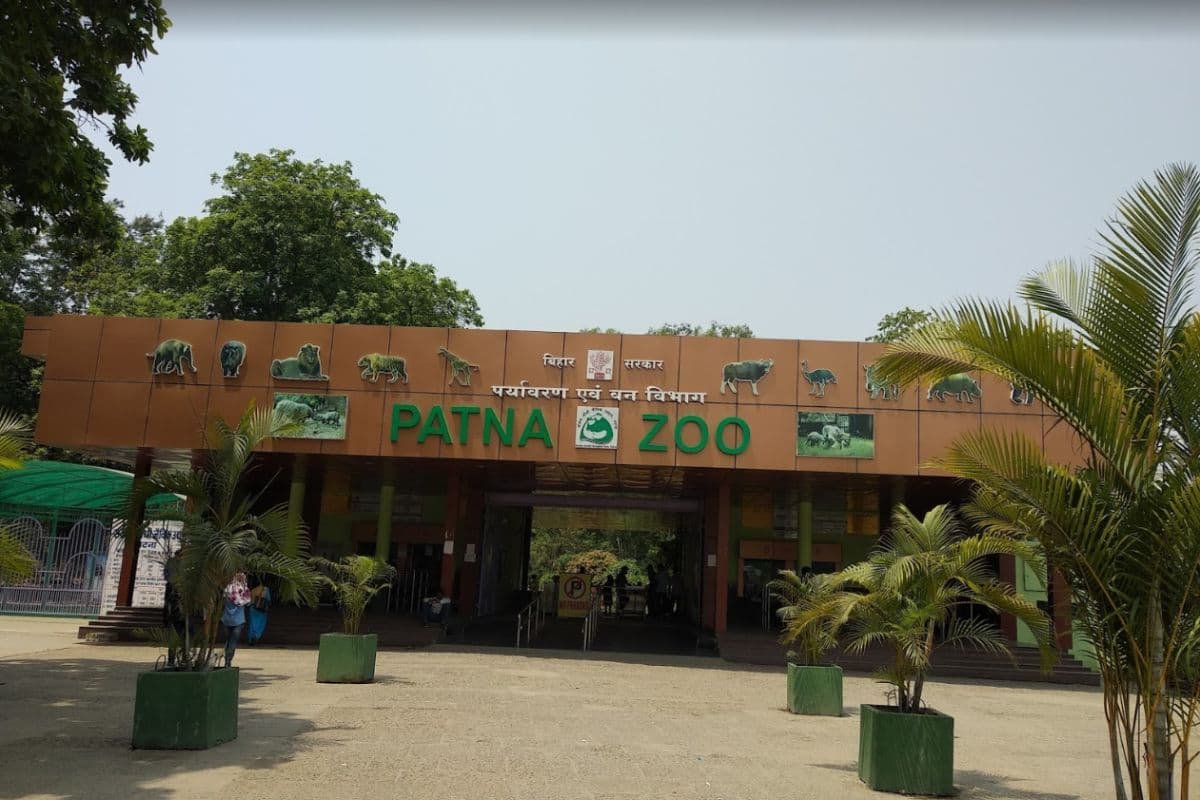 Patna Zoo: पटना जू में 1 जनवरी को ये सुविधाएं रहेंगी बंद, 25 दिसंबर से बुकिंग शुरू, नया रेट जान लीजिए