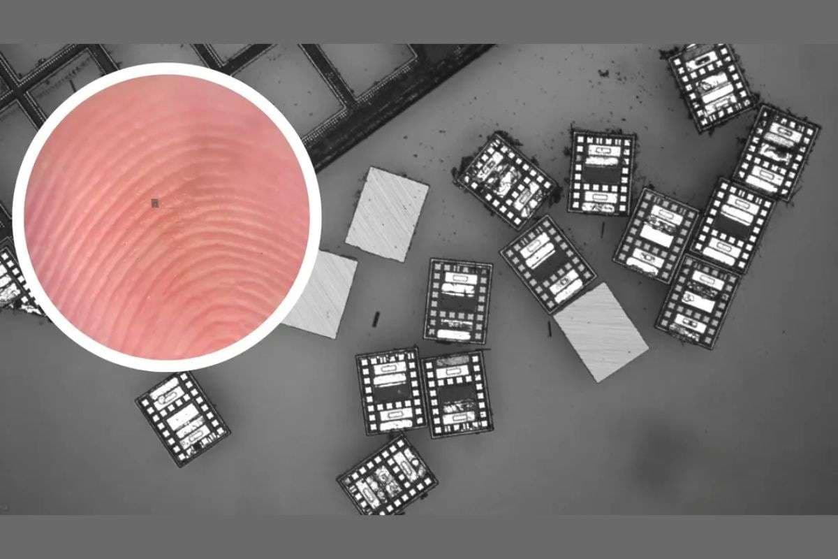 दुनिया के सबसे छोटे प्रोग्रामेबल रोबोट्स से मिलिए… रोशनी से चलती, सोचती और तैरती हैं ये सूक्ष्म मशीनें