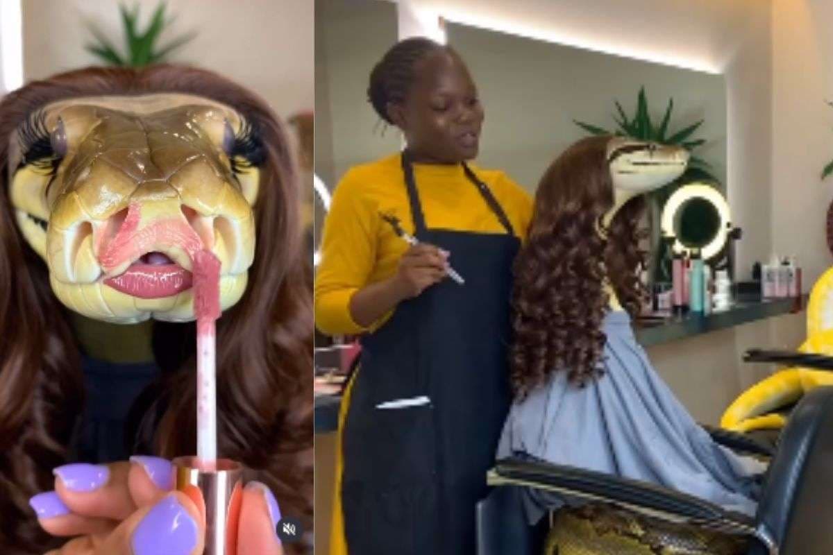 Viral Video: ब्यूटी पार्लर में मेकअप करवाने पहुंची मादा अजगर, होंठों पर लिपस्टिक लगाकर जीता लोगों का दिल