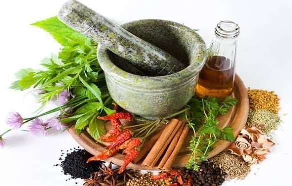 AAYUSH: ट्रेडिशनल मेडिसिन पर ग्लोबल समिट की मेजबानी करेगा भारत