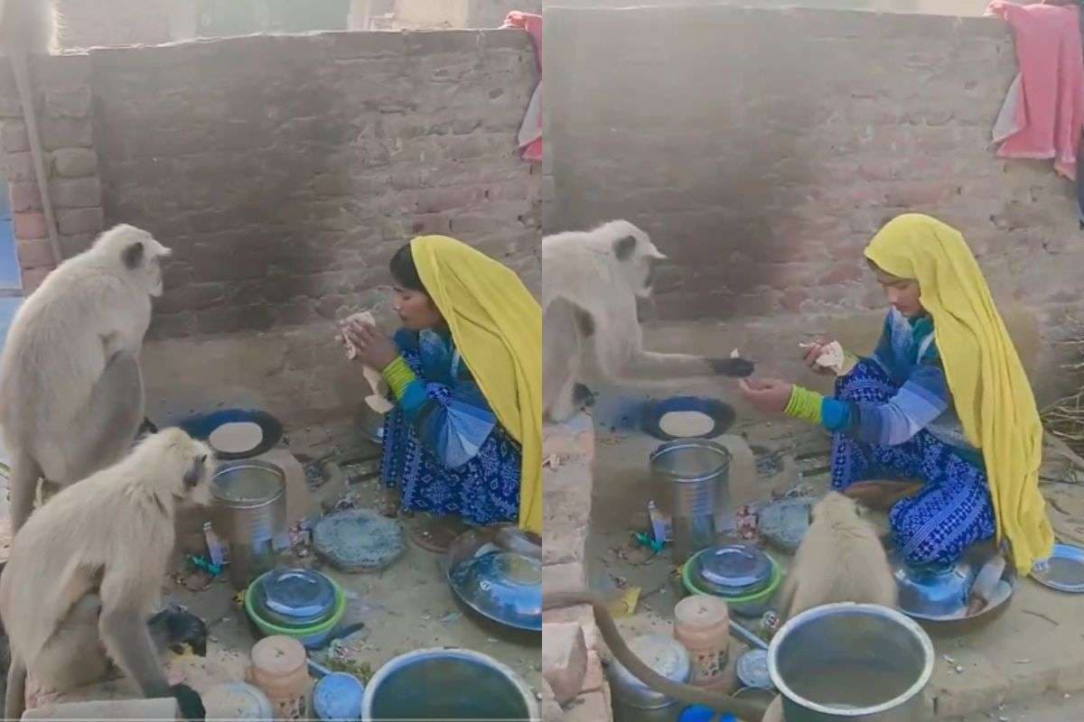 1:43 मिनट का Viral Video: बंदरों को बच्चों की तरह रोटी खिलाती दिखी महिला, वीडियो कर देगा भावुक